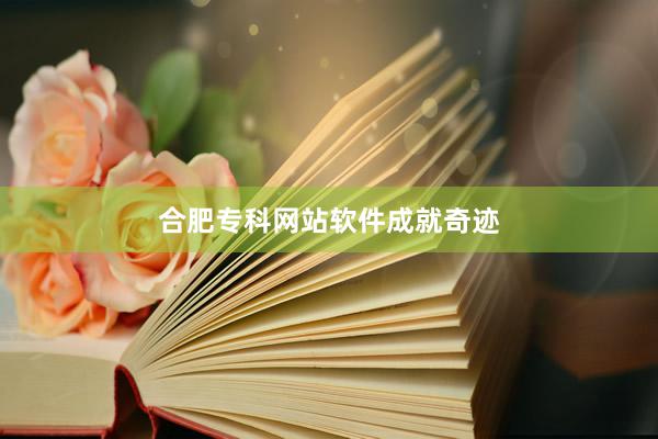 合肥专科网站软件成就奇迹